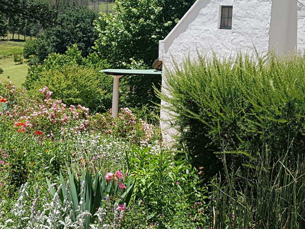 Rosebury Cottage Underberg Eksteriør billede